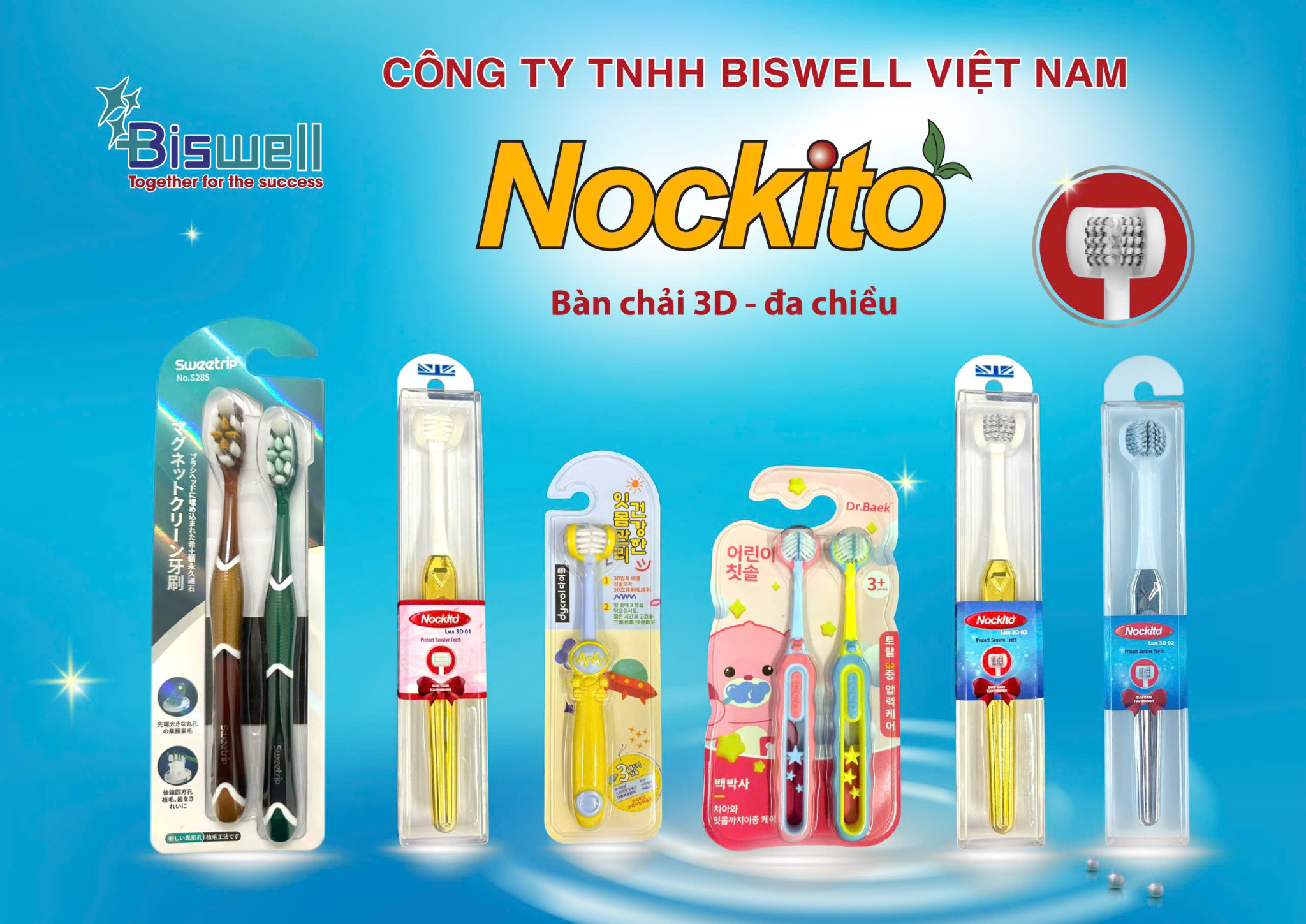 Bàn chải người lớn